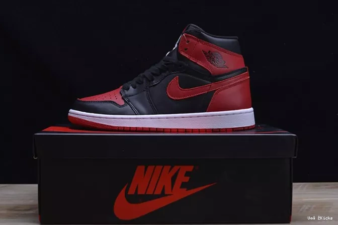 JORDAN 1 RETRO Flexible AIR 285 1106